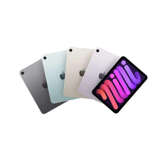 Apple - iPad mini