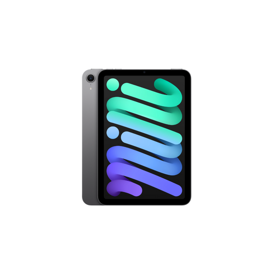 Apple - iPad mini