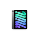 Apple - iPad mini