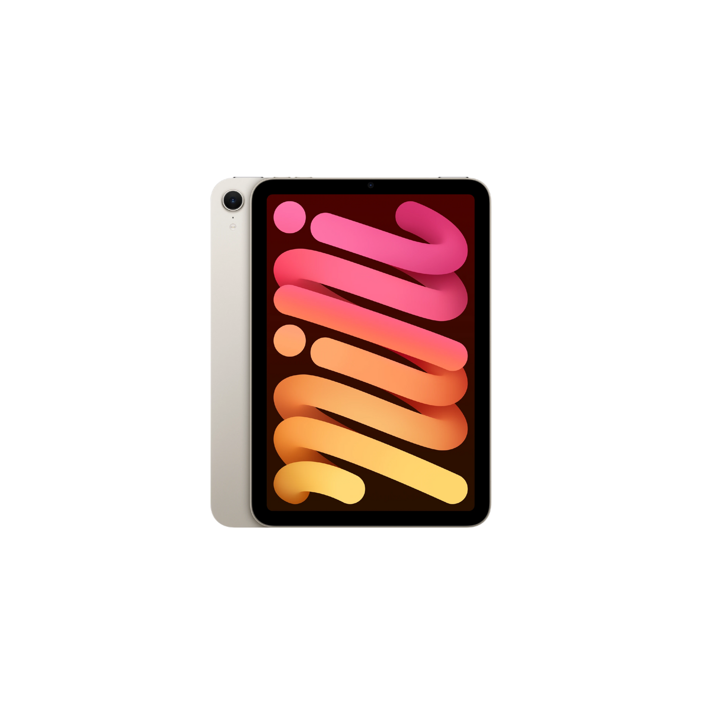 Apple - iPad mini